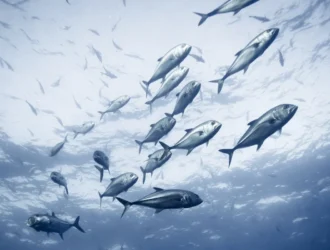 How Long Can a Fish Live Out of Water