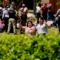Tragedy at Florida State University: 2 Dead, 6 Injured in Campus Shooting
