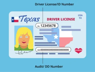 Can undocumented immigrants get a driver’s license in Texas – legal rules and driving options