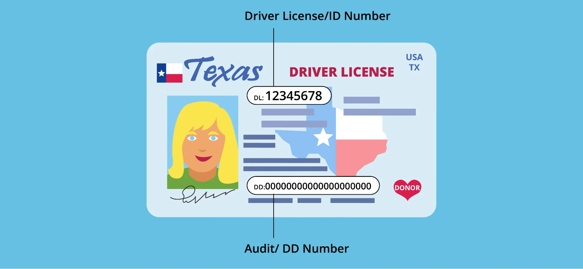 Can undocumented immigrants get a driver’s license in Texas – legal rules and driving options